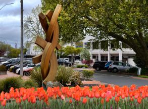 Rotorua Central.. check out those Tulips